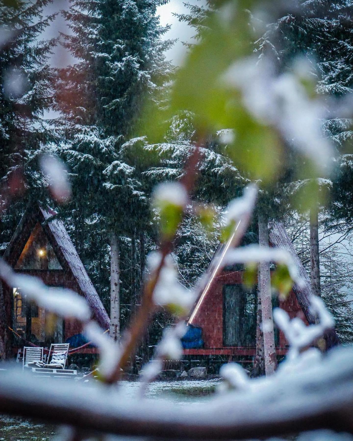 Bude Mestia Cottages Экстерьер фото