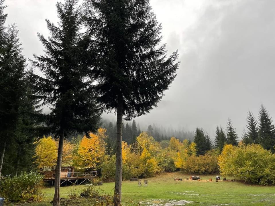 Bude Mestia Cottages Экстерьер фото